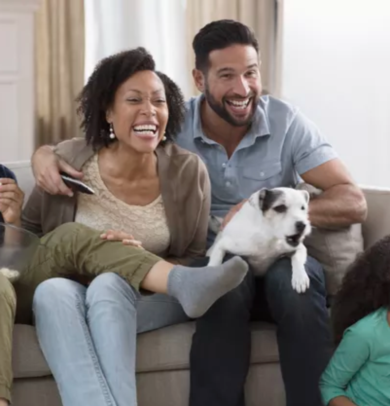 Why Do Some Dogs Watch Tv And Some Don T